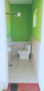 卡拉图Sonofjohnhomestay的绿色浴室设有卫生间和水槽