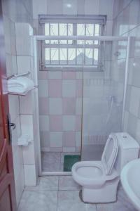 基加利Room in BB - Martin Aviator Hotel的带淋浴、卫生间和盥洗盆的浴室