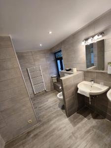 弗朗科尔尚斯帕皮乐旅舍的一间带水槽、卫生间和镜子的浴室