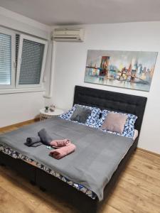 锡萨克Studio Apartman Bojana 34m2,free wifi,parking的一张位于房间的床,上面有两个枕头