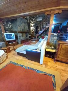 阿瑞达伊亚Loutra Mountain Nature的带沙发和壁炉的客厅