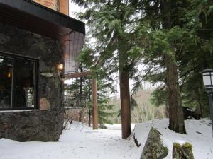 特勒斯斯基纳兰迪小屋酒店的树旁的一座有雪的建筑