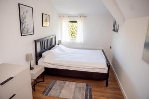 科帕奥尼克Mountain Chalet Kopaonik的一间小卧室,配有床和窗户