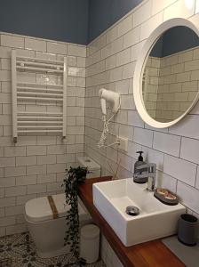 布尔戈斯Pension Boutique Doña Urraca的一间带水槽、卫生间和镜子的浴室