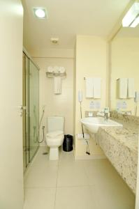 贝伦贝伦安娜尼恩德瓦智选假日酒店的一间带卫生间和水槽的浴室