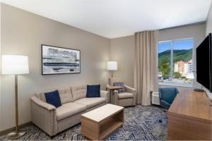 阿什维尔Candlewood Suites - Asheville Downtown, an IHG Hotel的带沙发和电视的客厅