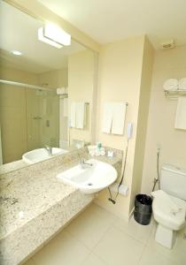 贝伦贝伦安娜尼恩德瓦智选假日酒店的一间带水槽、卫生间和镜子的浴室