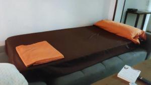 韦尔瓦Apartamento con PARKING gratis en CENTRO, Merced的棕色的沙发上摆放着橙色枕头