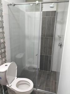 圣罗莎德卡瓦尔apartamento family的一间带卫生间和玻璃淋浴间的浴室