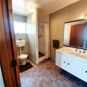 马斯特顿Chanel Court Motel的一间带卫生间、水槽和镜子的浴室