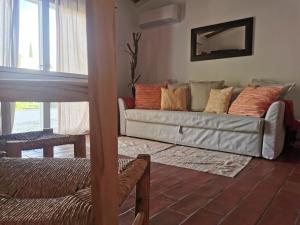 塞尔帕Horta das Laranjas的客厅配有带枕头的沙发