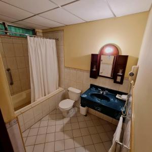 莱昂Hotel Austria的浴室配有卫生间、盥洗盆和淋浴。