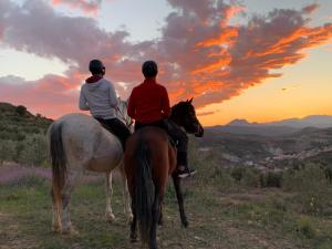 HinojaresApartamentos La Granja的两人在日落时分在山坡上骑马