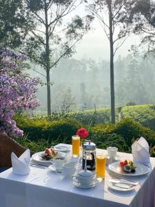 哈顿Ceylon Tea Trails的餐桌,带食物和橙汁盘