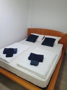 卢布尔雅那Ljubljana Center Budget Apartment的一张带蓝色枕头的大型白色床