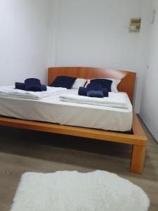 卢布尔雅那Ljubljana Center Budget Apartment的一张带白色床单和蓝色枕头的床