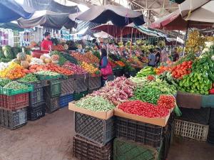 阿加迪尔Hivernage Founty的市场,水果和蔬菜种类繁多