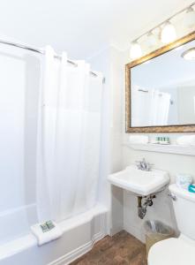 普罗温斯敦普罗文斯镇酒店的白色的浴室设有水槽和淋浴。