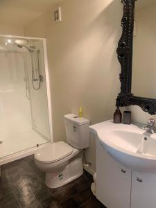 但尼丁Otago Peninsula Paradise的浴室配有卫生间、盥洗盆和淋浴。