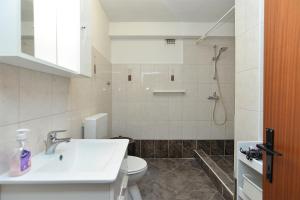 拉巴克Apartments Plominska 938的一间带水槽、卫生间和淋浴的浴室