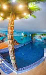 米兹多洛杰库拉布旅馆的棕榈树酒店游泳池