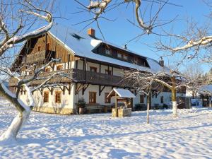 Mirsk奥萨达杰斯基斯卡巴塔乡村民宿的雪中一座大建筑,有雪覆盖的树木