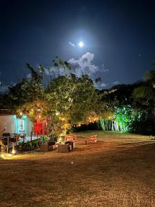 费尔南多 - 迪诺罗尼亚西姆帕提娅小岛旅馆的夜晚在院子里有灯光的树