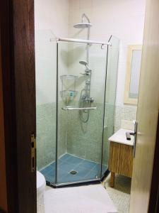 巴格达帕姆酒店的浴室里设有玻璃门淋浴