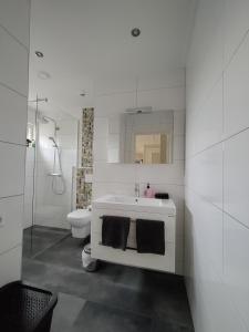 温特斯韦克B&B de Maalderi-je的白色的浴室设有水槽和卫生间。