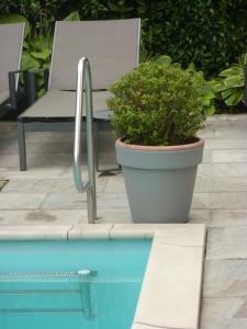 梅拉诺济马酒店的游泳池旁的椅子和盆栽