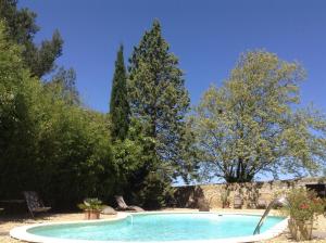 卡尔卡松奥克斯昂格加迪安斯酒店的一座树木繁茂的庭院内的游泳池