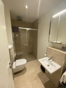 卢森堡New Luxury Studio in the Heart of Kirchberg -D的浴室配有卫生间、盥洗盆和淋浴。