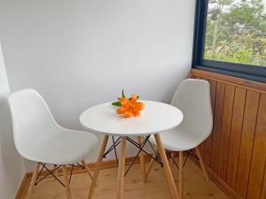 奥尔穆埃Novaqua Bed & Breakfast的一张桌子,上面有三把椅子和橙花