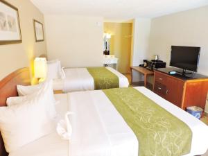 基西米佛罗里达州四季酒店的酒店客房设有两张床和电视。