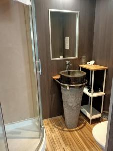 勒帕莱圣阿曼特酒店的一间带水槽和淋浴的浴室
