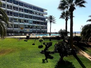 圣巴托洛梅Newly refurbished beachfront apartment.的公园前有棕榈树的大建筑