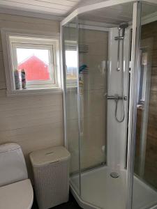 Melbu伯希德斯图阿度假屋的带淋浴和卫生间的浴室以及窗户。