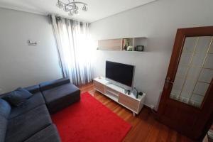 巴拉卡Apartamento centro Barakaldo BEC的带沙发和平面电视的客厅