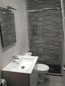巴拉卡Apartamento centro Barakaldo BEC的一间带水槽、卫生间和淋浴的浴室