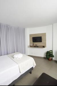 戈亚尼亚Apartamento 1009的一间卧室配有一张床和一台平面电视