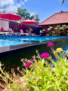 蓝梦岛Lembongan Tropical Guesthouse的前方的游泳池,有粉红色的花朵
