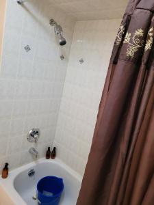马卡姆Extended Stays Home的带浴缸和淋浴帘的浴室