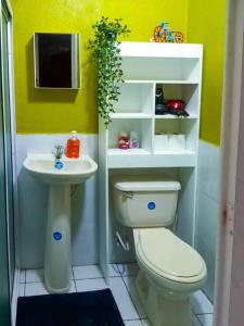 圣安娜Jasper House en Ciudad Real Santa Ana的一间带卫生间和水槽的小浴室