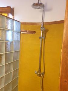 贝岛villa nosy détente的浴室设有黄色门淋浴