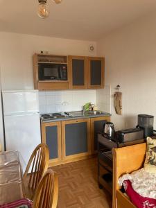 土绪尔Appartement 6 places La Toussuire的一间带冰箱和水槽的小厨房