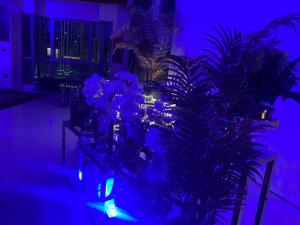 迪拜阿尔巴哈尔市中心公寓的一间设有植物和蓝色灯光的桌子的房间