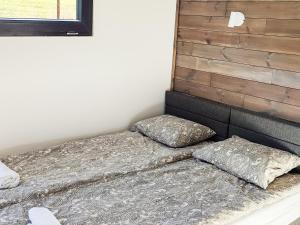 克里姆科沃卡Klimkówka Pod Gwiazdami的一间卧室配有两张带枕头的床。