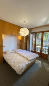 韦松纳Mélèzes R-S MOUNTAIN & SKI LIFT apartements的一间卧室配有一张大床和一个吊灯。