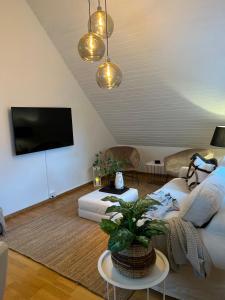 韦灵厄Fully Equipped Home Close to Malmö & Copenhagen的带沙发和电视的客厅