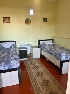 布哈拉MOHINUR Hostel的一间设有两张床的房间和一张地毯